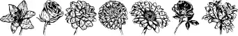 Blumen
