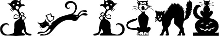 Border Cats