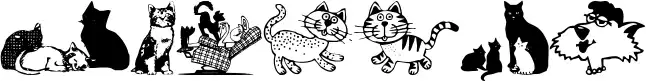 Cats CSP
