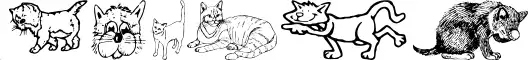 Catt Art