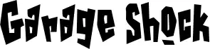 Garage Shock