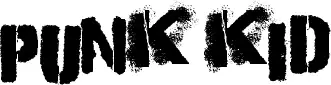 Punk Kid