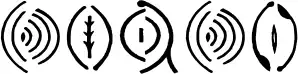 Vulva