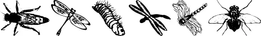 WM Insects