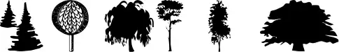 WM Trees 1