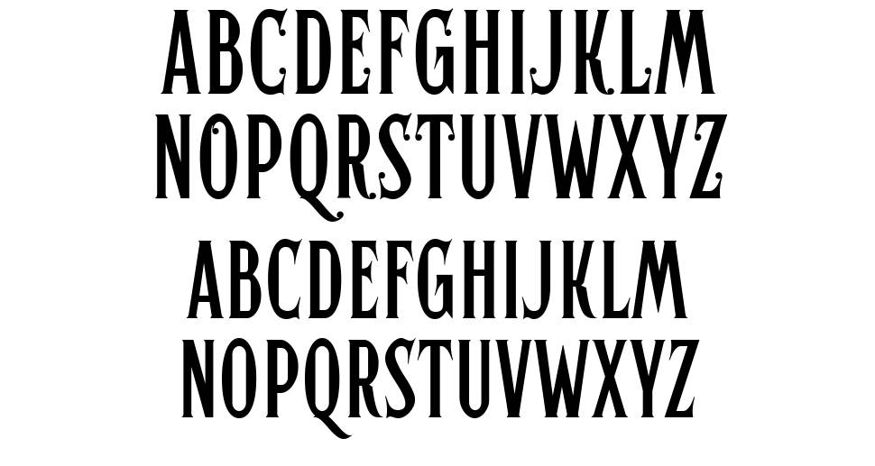 Hertical Serif font by Edignwn Type | FontRiver
