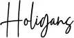 Holigans