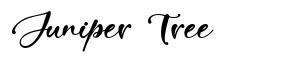 Juniper Tree font