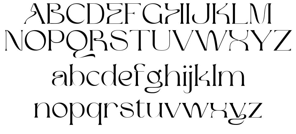 Maigre Font By Prioritype Co Fontriver