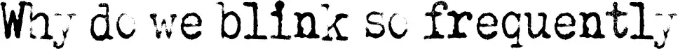 Why do we blink so frequently